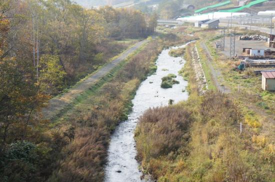 畚部川改修工事（補正・明許）（植生工） 