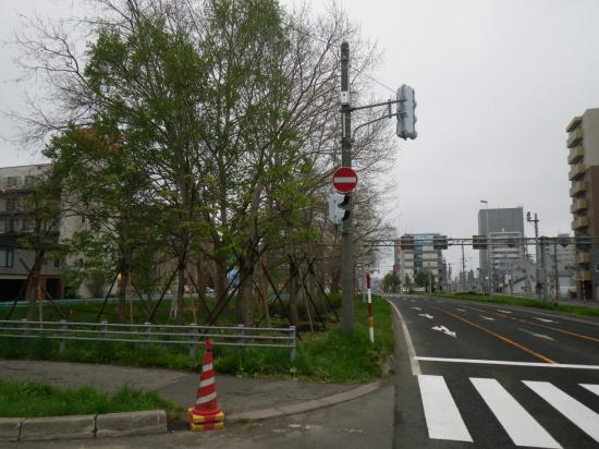 一般国道36号街路樹移植業務（その2） 